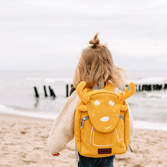 Rucsac copii de gradinita Skiddou Vani