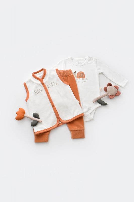 Set 3 piese Broscuta cu body, pantalonasi si vestuta din 80%bumbac organic si 20% poliester - Portocaliu, BabyCosy