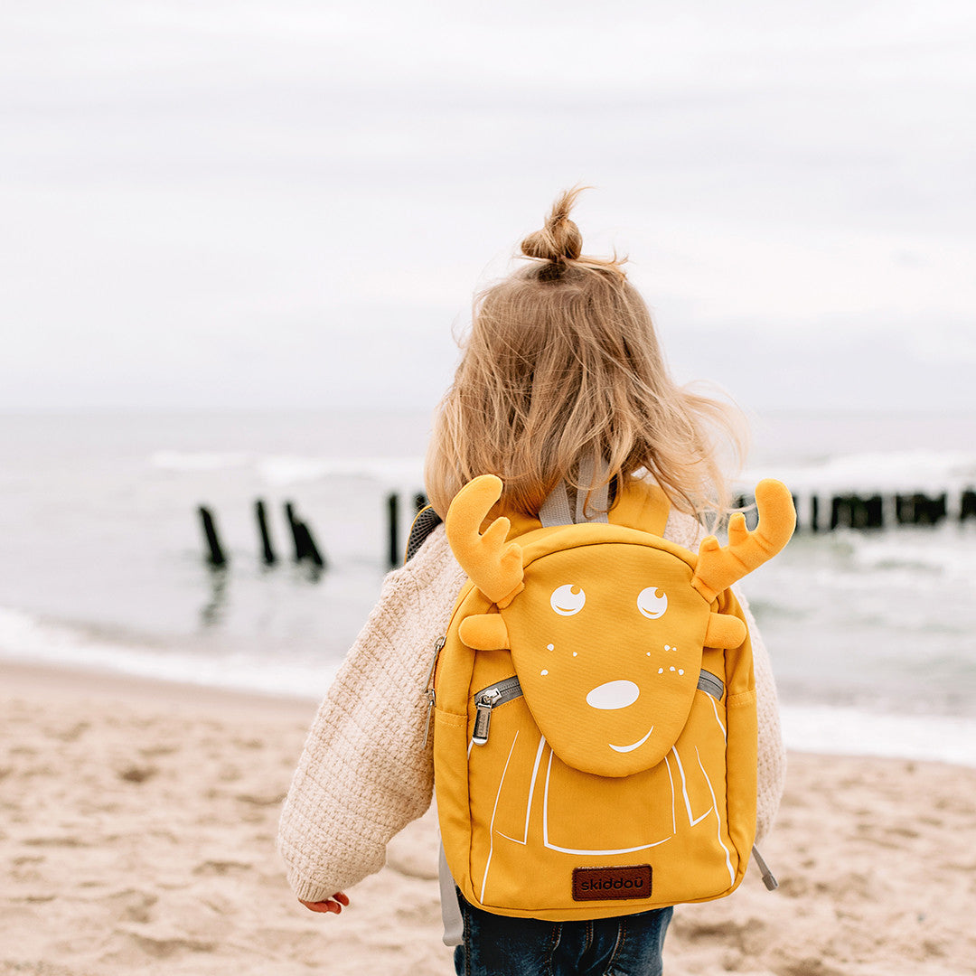 Rucsac copii de gradinita Skiddou Vani