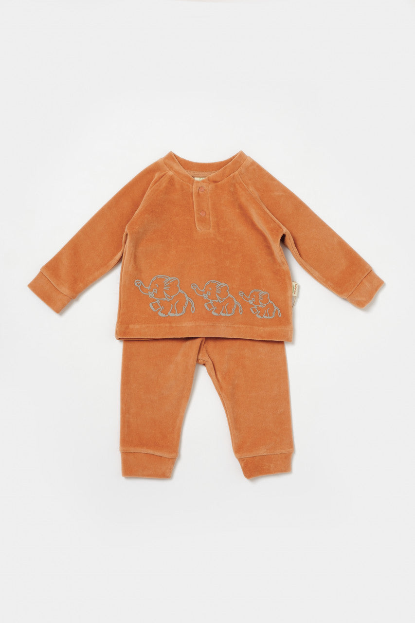 Set bluzita si pantaloni Elefant, 80%bumbac organic si 20% poliester - Caramiziu, BabyCosy