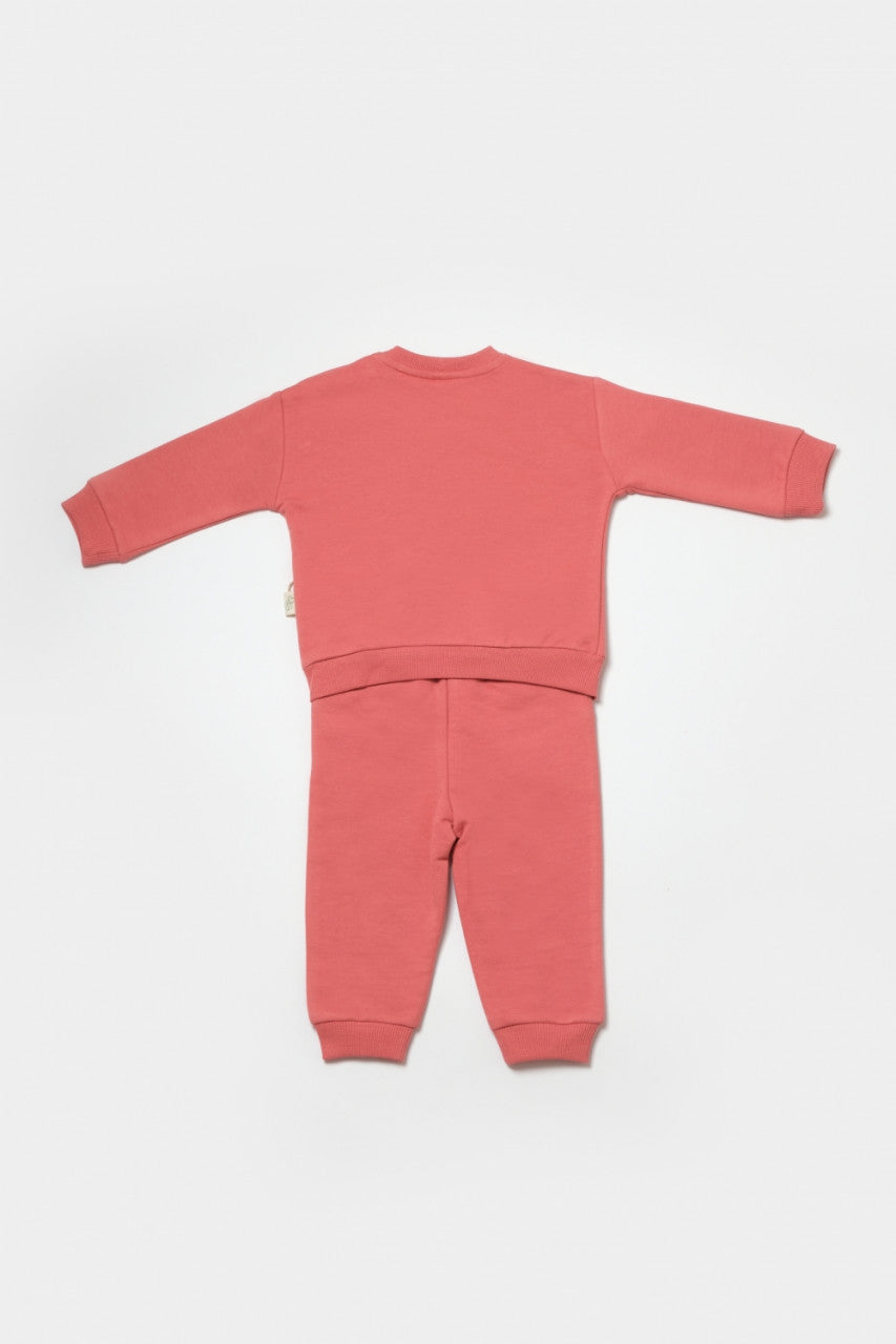 Set hanorac si pantaloni, Two thread, 100%bumbac organic - Rose, BabyCosy
